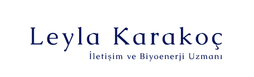 LeylaKarakoc_logo_menu